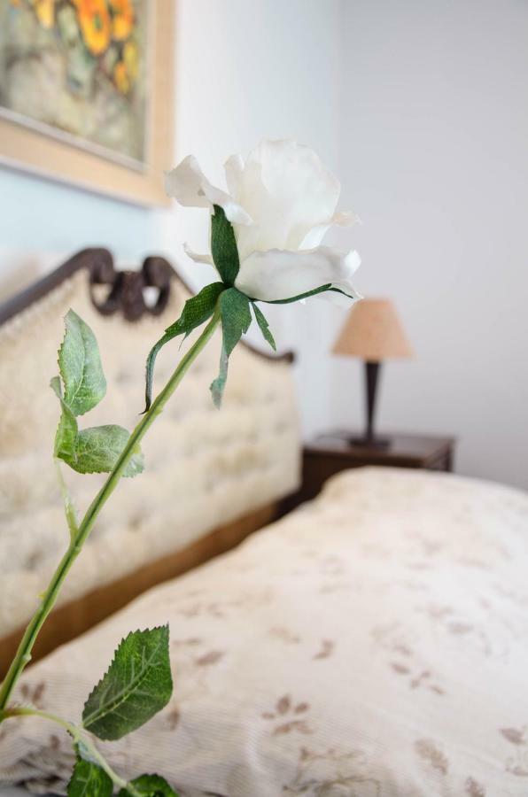 Penthouse Presernovo Nabrezje Piran Buitenkant foto